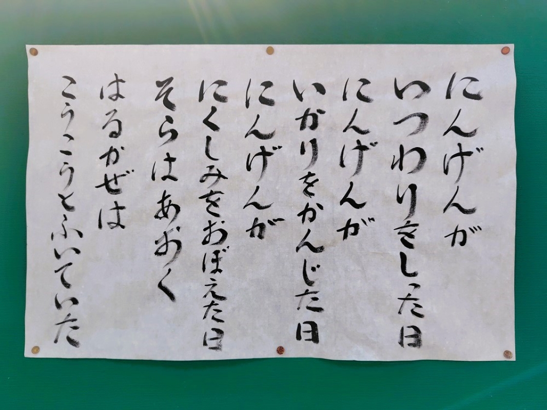 250430134156664